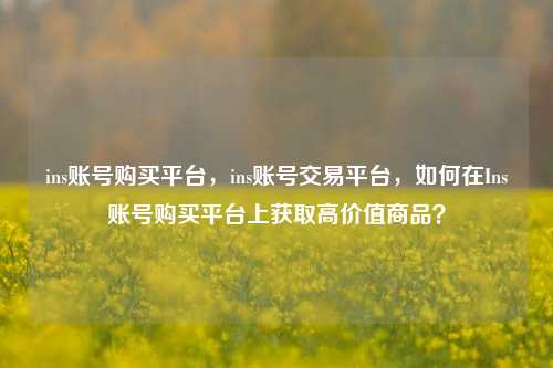 ins账号购买平台，ins账号交易平台，如何在Ins账号购买平台上获取高价值商品？