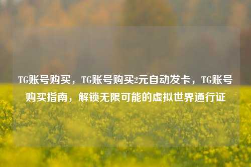 TG账号购买，TG账号购买2元自动发卡，TG账号购买指南，解锁无限可能的虚拟世界通行证