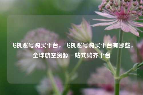 飞机账号购买平台，飞机账号购买平台有哪些，全球航空资源一站式购齐平台