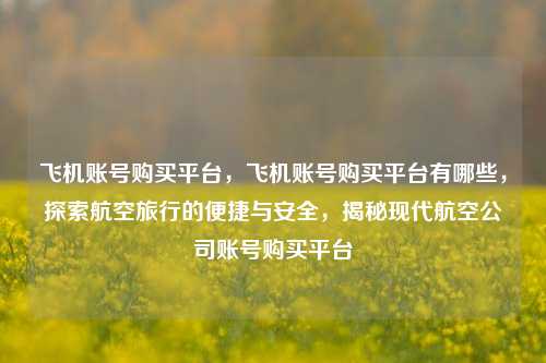 飞机账号购买平台，飞机账号购买平台有哪些，探索航空旅行的便捷与安全，揭秘现代航空公司账号购买平台