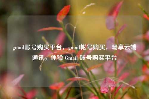 gmail账号购买平台，gmail帐号购买，畅享云端通讯，体验 Gmail 账号购买平台