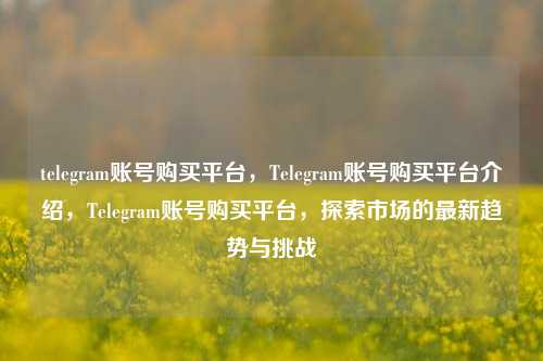 telegram账号购买平台，Telegram账号购买平台介绍，Telegram账号购买平台，探索市场的最新趋势与挑战