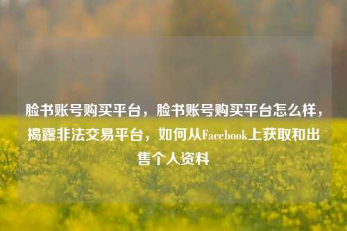 脸书账号购买平台，脸书账号购买平台怎么样，揭露非法交易平台，如何从Facebook上获取和出售个人资料