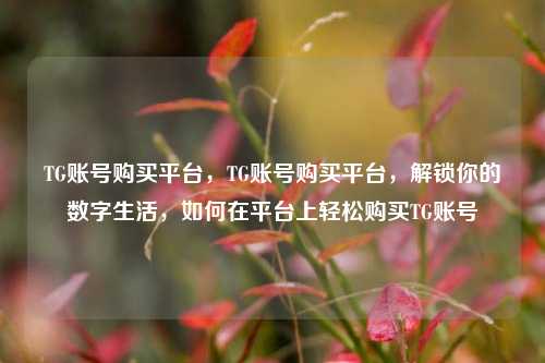 TG账号购买平台，TG账号购买平台，解锁你的数字生活，如何在平台上轻松购买TG账号