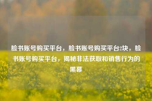 脸书账号购买平台，脸书账号购买平台2块，脸书账号购买平台，揭秘非法获取和销售行为的黑幕