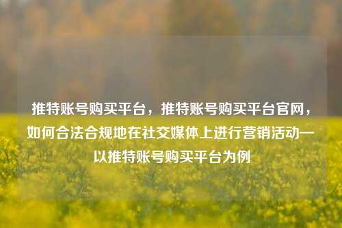 推特账号购买平台，推特账号购买平台官网，如何合法合规地在社交媒体上进行营销活动—以推特账号购买平台为例