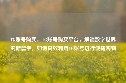 TG账号购买，TG账号购买平台，解锁数字世界的新篇章，如何高效利用TG账号进行便捷购物
