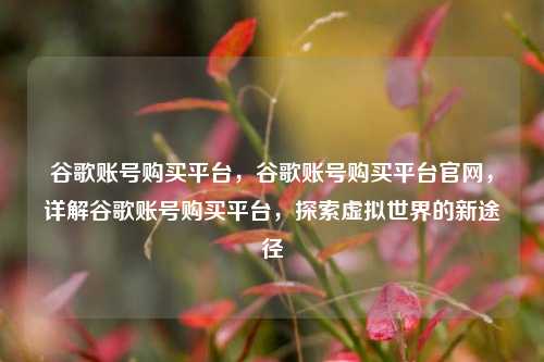 谷歌账号购买平台，谷歌账号购买平台官网，详解谷歌账号购买平台，探索虚拟世界的新途径