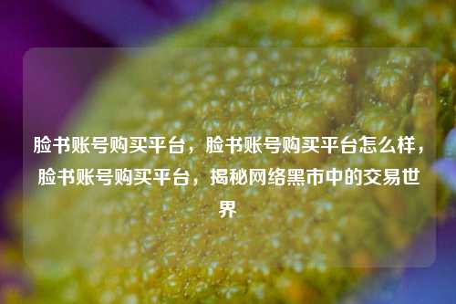 脸书账号购买平台，脸书账号购买平台怎么样，脸书账号购买平台，揭秘网络黑市中的交易世界