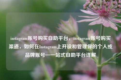 instagram账号购买自助平台，instagram账号购买渠道，如何在Instagram上开设和管理你的个人或品牌账号—一站式自助平台详解