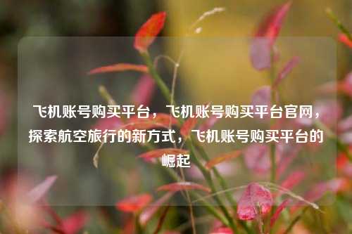 飞机账号购买平台，飞机账号购买平台官网，探索航空旅行的新方式，飞机账号购买平台的崛起