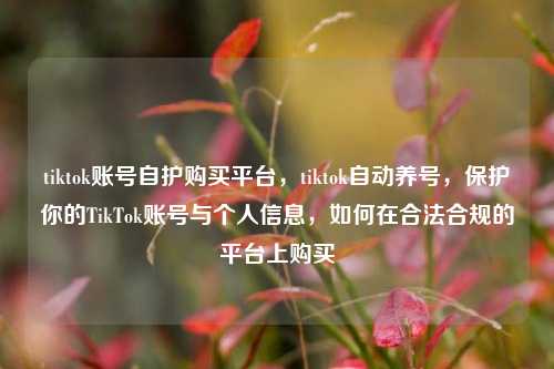 tiktok账号自护购买平台，tiktok自动养号，保护你的TikTok账号与个人信息，如何在合法合规的平台上购买