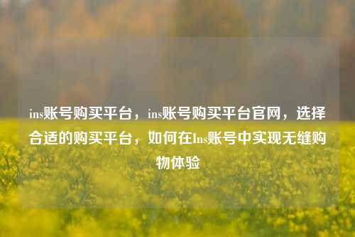 ins账号购买平台，ins账号购买平台官网，选择合适的购买平台，如何在Ins账号中实现无缝购物体验
