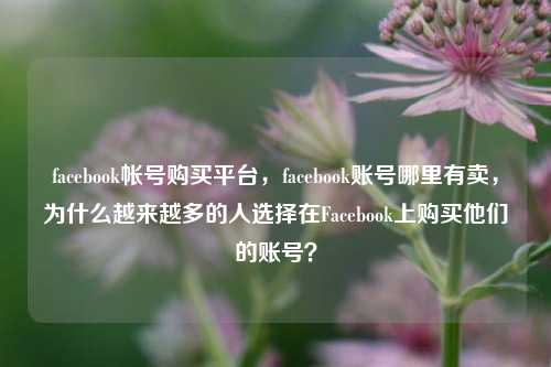 facebook帐号购买平台，facebook账号哪里有卖，为什么越来越多的人选择在Facebook上购买他们的账号？