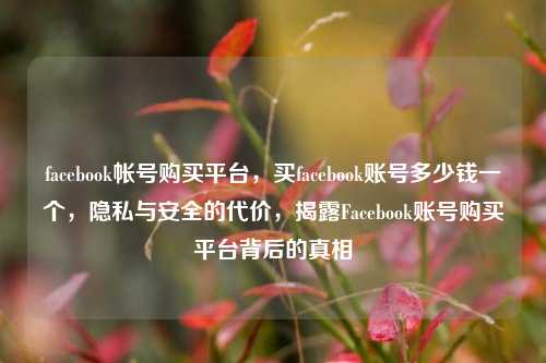 facebook帐号购买平台，买facebook账号多少钱一个，隐私与安全的代价	，揭露Facebook账号购买平台背后的真相  第1张