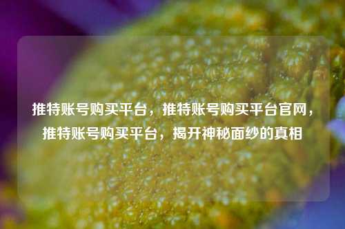 推特账号购买平台，推特账号购买平台官网，推特账号购买平台，揭开神秘面纱的真相