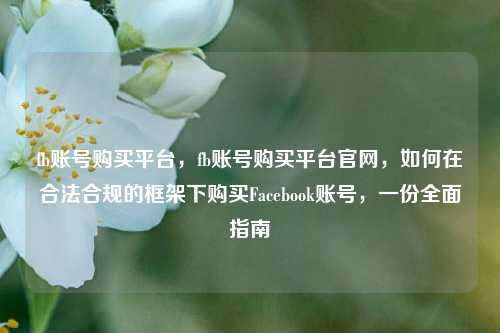 fb账号购买平台，fb账号购买平台官网，如何在合法合规的框架下购买Facebook账号，一份全面指南
