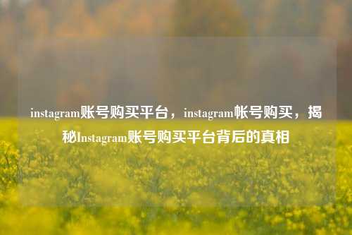 instagram账号购买平台，instagram帐号购买，揭秘Instagram账号购买平台背后的真相