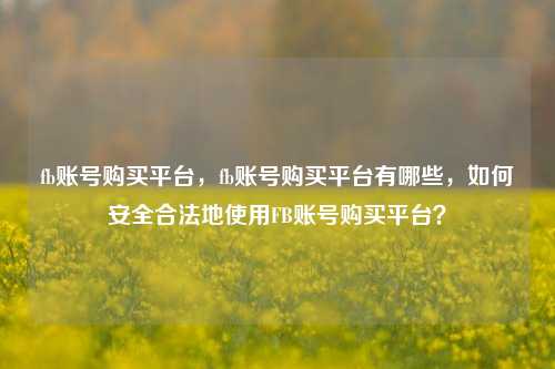 fb账号购买平台，fb账号购买平台有哪些，如何安全合法地使用FB账号购买平台？