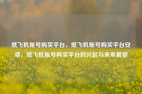纸飞机账号购买平台，纸飞机账号购买平台安卓，纸飞机账号购买平台的兴起与未来展望