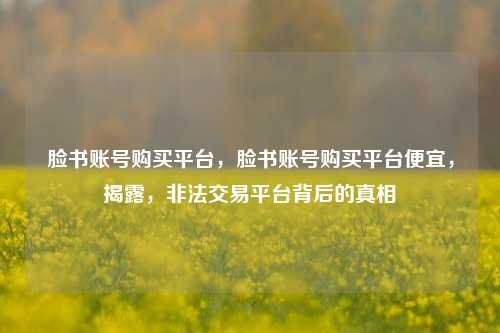 脸书账号购买平台，脸书账号购买平台便宜，揭露，非法交易平台背后的真相