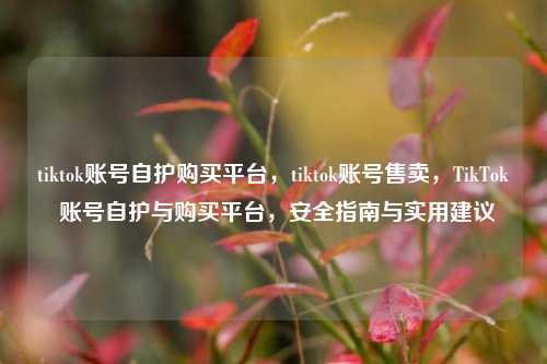 tiktok账号自护购买平台，tiktok账号售卖，TikTok 账号自护与购买平台，安全指南与实用建议