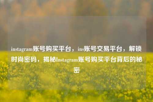 instagram账号购买平台，ins账号交易平台，解锁时尚密码，揭秘Instagram账号购买平台背后的秘密