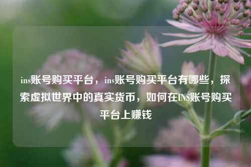 ins账号购买平台，ins账号购买平台有哪些，探索虚拟世界中的真实货币，如何在INS账号购买平台上赚钱