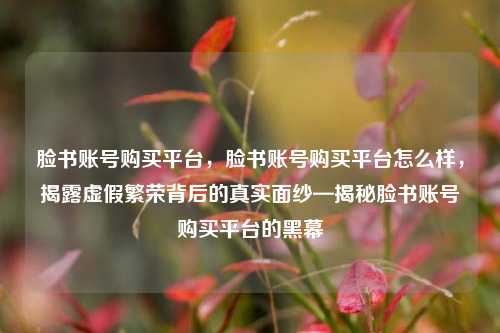 脸书账号购买平台，脸书账号购买平台怎么样，揭露虚假繁荣背后的真实面纱—揭秘脸书账号购买平台的黑幕