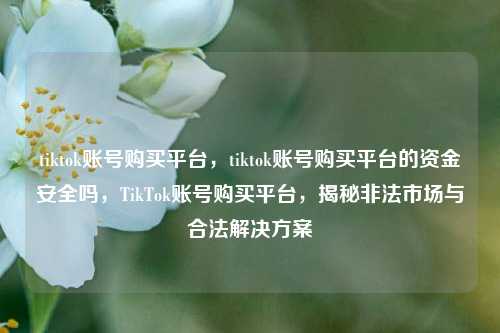 tiktok账号购买平台	，tiktok账号购买平台的资金安全吗，TikTok账号购买平台，揭秘非法市场与合法解决方案  第1张