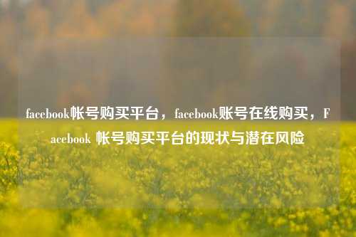 facebook帐号购买平台，facebook账号在线购买，Facebook 帐号购买平台的现状与潜在风险
