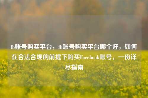 fb账号购买平台，fb账号购买平台哪个好，如何在合法合规的前提下购买Facebook账号，一份详尽指南