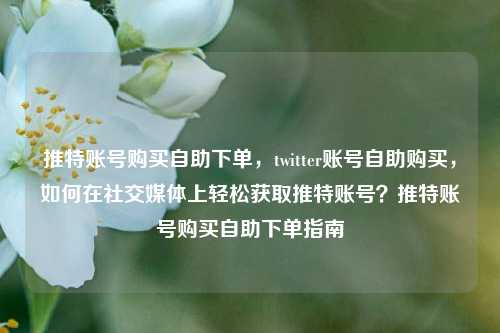 推特账号购买自助下单，twitter账号自助购买，如何在社交媒体上轻松获取推特账号？推特账号购买自助下单指南