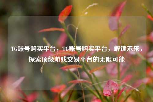 TG账号购买平台，TG账号购买平台，解锁未来，探索顶级游戏交易平台的无限可能