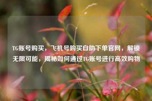 TG账号购买，飞机号购买自助下单官网，解锁无限可能，揭秘如何通过TG账号进行高效购物