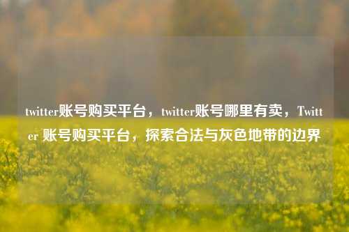 twitter账号购买平台，twitter账号哪里有卖，Twitter 账号购买平台，探索合法与灰色地带的边界