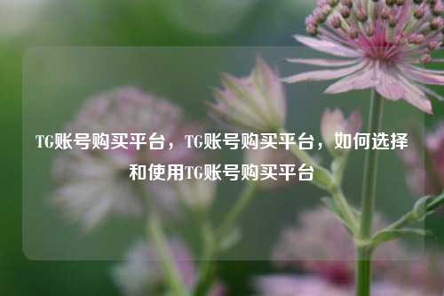 TG账号购买平台，TG账号购买平台	，如何选择和使用TG账号购买平台  第1张