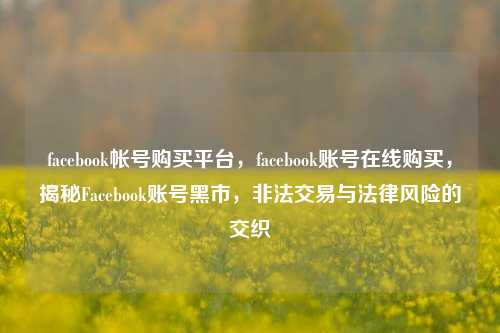 facebook帐号购买平台，facebook账号在线购买，揭秘Facebook账号黑市，非法交易与法律风险的交织