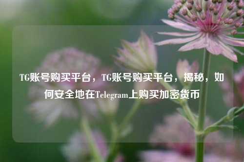 TG账号购买平台，TG账号购买平台，揭秘，如何安全地在Telegram上购买加密货币