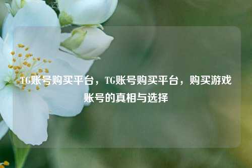 TG账号购买平台，TG账号购买平台，购买游戏账号的真相与选择