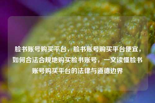 脸书账号购买平台，脸书账号购买平台便宜	，如何合法合规地购买脸书账号，一文读懂脸书账号购买平台的法律与道德边界  第1张