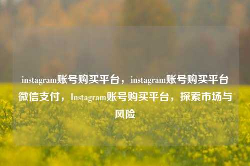instagram账号购买平台，instagram账号购买平台微信支付，Instagram账号购买平台，探索市场与风险