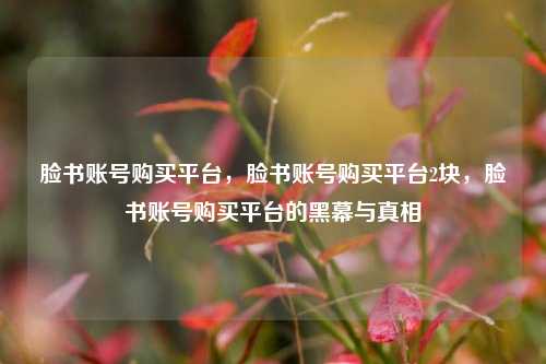 脸书账号购买平台，脸书账号购买平台2块，脸书账号购买平台的黑幕与真相