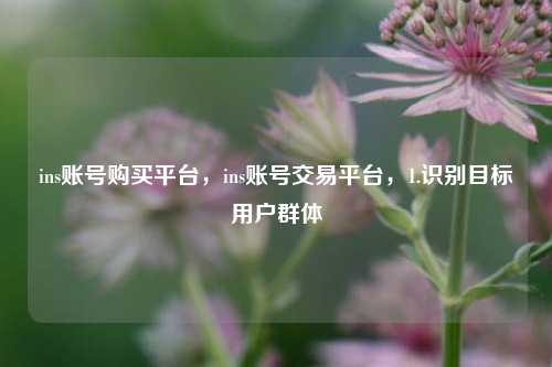 ins账号购买平台，ins账号交易平台，1.识别目标用户群体