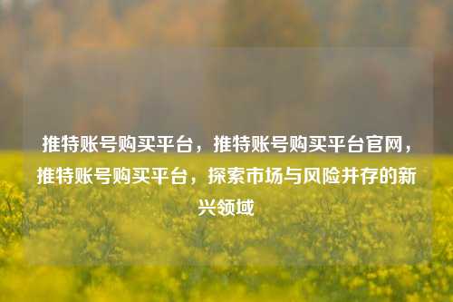 推特账号购买平台，推特账号购买平台官网，推特账号购买平台，探索市场与风险并存的新兴领域