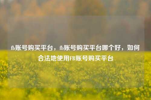 fb账号购买平台，fb账号购买平台哪个好，如何合法地使用FB账号购买平台