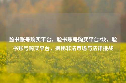 脸书账号购买平台，脸书账号购买平台2块，脸书账号购买平台，揭秘非法市场与法律挑战