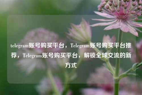 telegram账号购买平台，Telegram账号购买平台推荐，Telegram账号购买平台，解锁全球交流的新方式