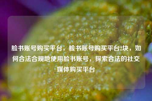 脸书账号购买平台，脸书账号购买平台2块，如何合法合规地使用脸书账号，探索合法的社交媒体购买平台