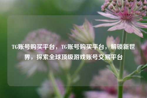 TG账号购买平台	，TG账号购买平台，解锁新世界，探索全球顶级游戏账号交易平台  第1张